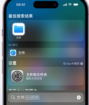 金阳apple维修中心分享iPhone文件应用中存储和找到下载文件