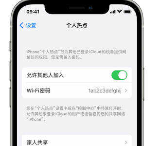 金阳apple服务站点分享iPhone上个人热点丢失了怎么办 