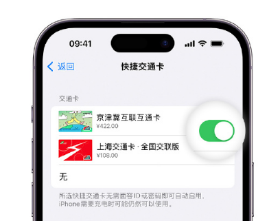 金阳apple维修点分享iPhone上更换Apple Pay快捷交通卡手绘卡面 