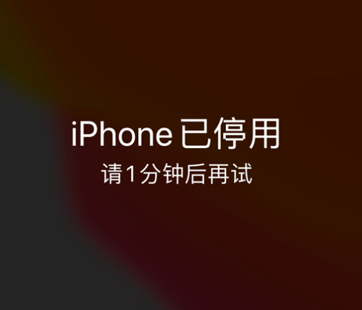 金阳苹果手机维修分享:iPhone 显示“不可用”或“已停用”怎么办？还能保留数据吗？ 