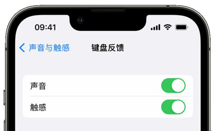 金阳苹果手机维修分享iPhone 14触感键盘使用方法 