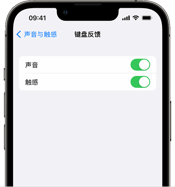 金阳苹果14维修店分享如何在 iPhone 14 机型中使用触感键盘 