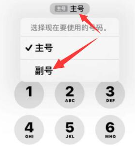 金阳苹果14维修店分享iPhone 14 Pro Max使用副卡打电话的方法 