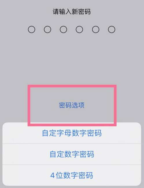 金阳苹果14维修分享iPhone 14plus设置密码的方法 