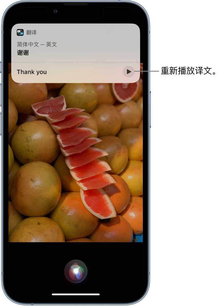 金阳苹果14维修分享 iPhone 14 机型中使用 Siri：了解 Siri 能帮你做什么 