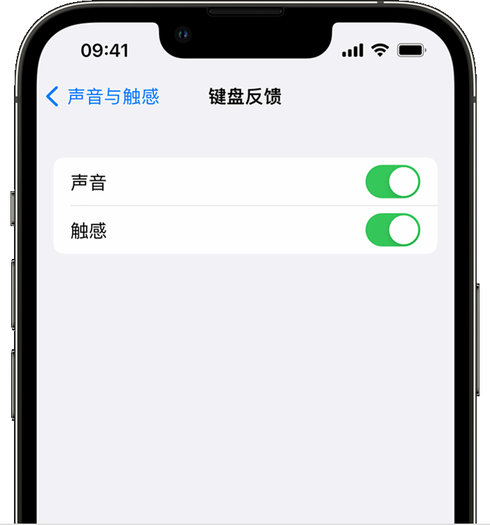 金阳苹果14维修分享iPhone 14 系列机型如何开启键盘声音或触感反馈 
