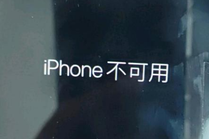 金阳苹果服务网点分享锁屏界面显示“iPhone 不可用”如何解决 