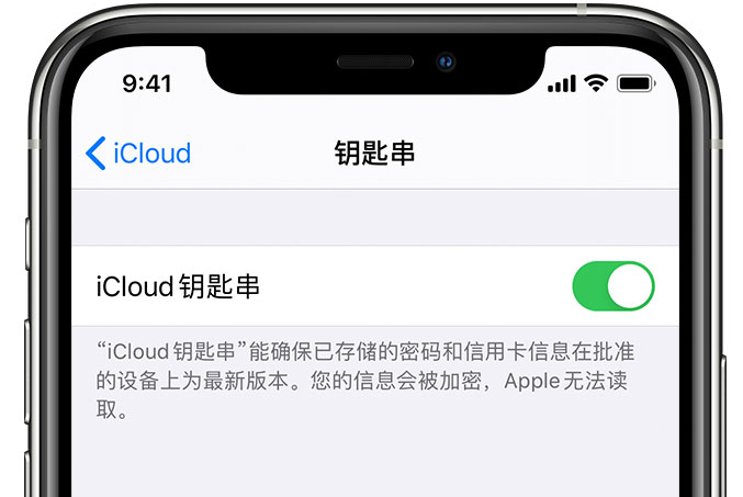 金阳苹果手机维修分享在 iPhone 上开启 iCloud 钥匙串之后会储存哪些信息 