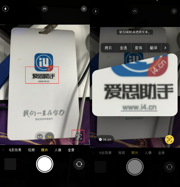 金阳苹果手机维修分享升级iOS 16后如何通过相机翻译文本 