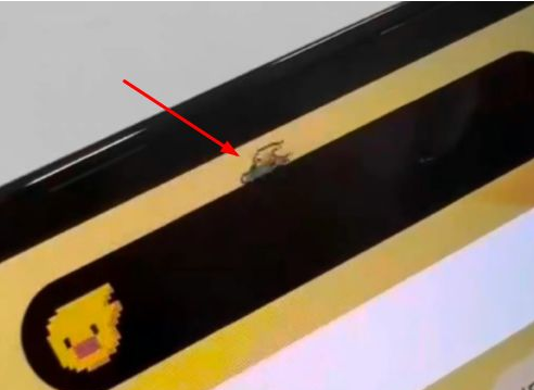 金阳苹果14维修分享iPhone 14 Pro Max灵动岛怎么养宠物 