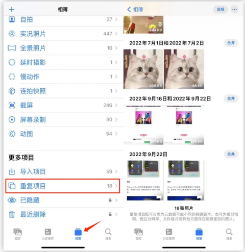 金阳苹果手机维修分享iOS 16 中相册重复项目功能使用方法 