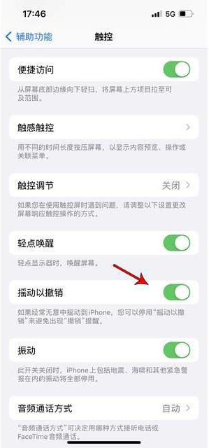 金阳苹果手机维修分享iPhone手机如何设置摇一摇删除文字 