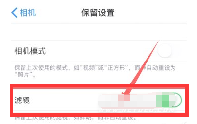 金阳苹果13维修分享iPhone13拍照有绿点是怎么回事 