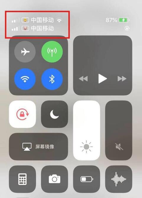 金阳苹果手机维修分享为 iPhone 12 双卡设置标签 