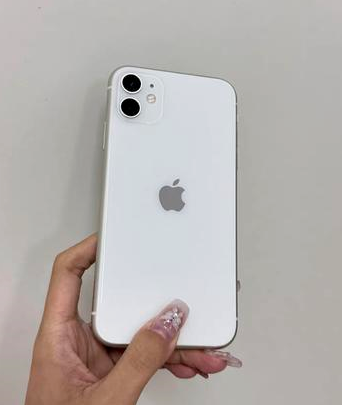金阳苹果维修点分享iPhone 11黑屏特殊场景解析 